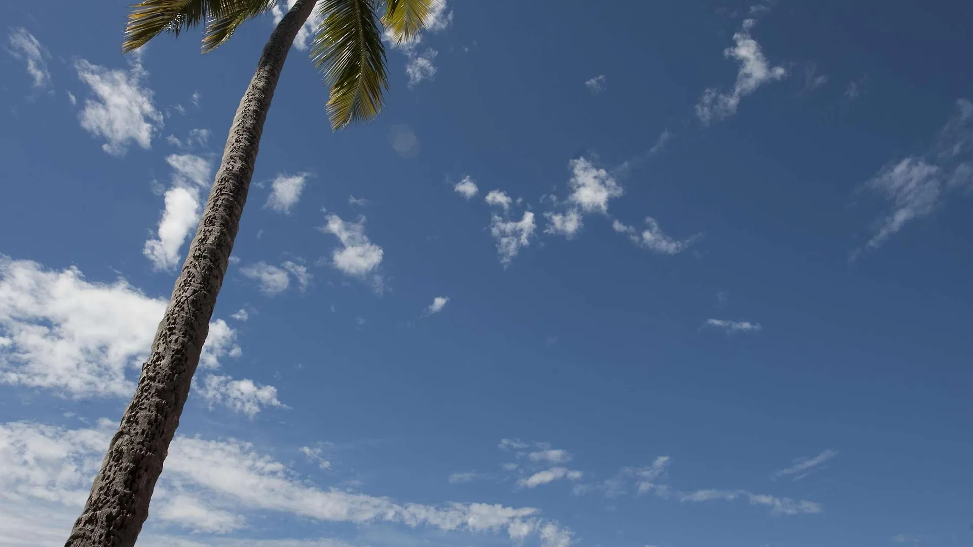 Rincon Beach Resort 4*,